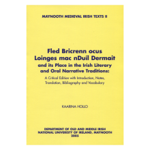 (Bild für) Fled Bricrenn ocus Loinges mac nDuíl Dermait and its Place in the Irish Literary and Oral Narrative Traditions